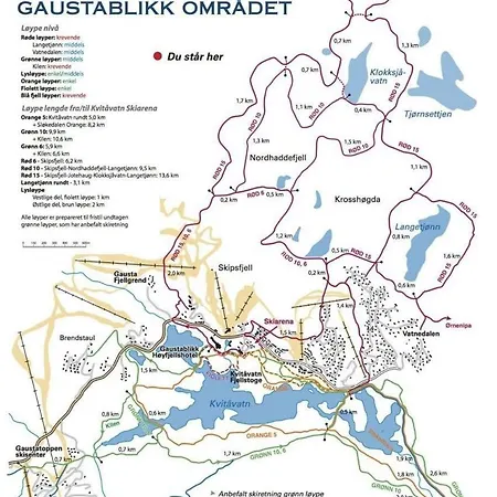 Rustik I Gausta, In, Out, 10 Beds Chalet
