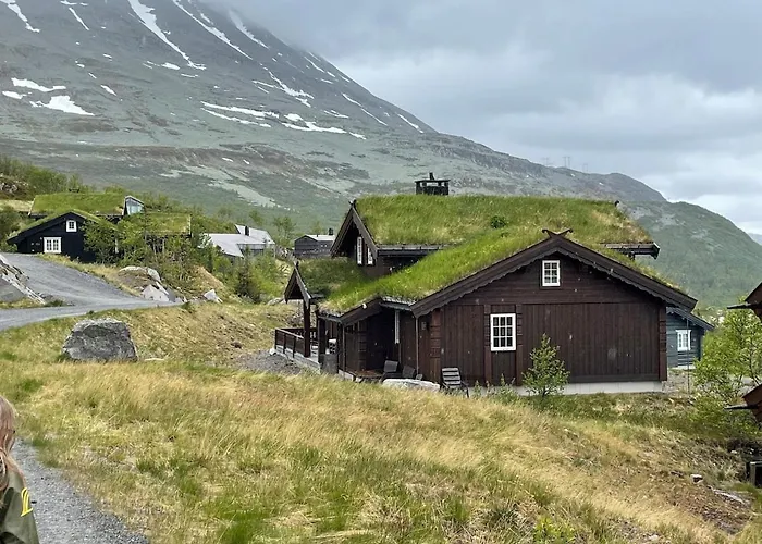 Rustik I Gausta, In, Out, 10 Beds *