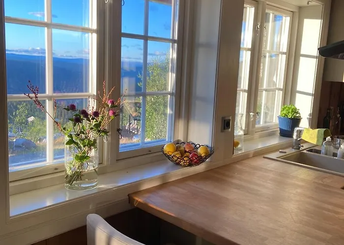 Rustik I Gausta, In, Out, 10 Beds * Gaustablikk