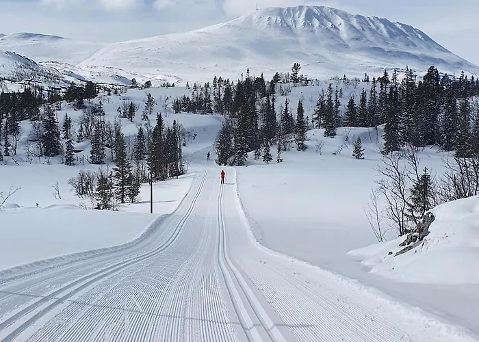 Rustik I Gausta, In, Out, 10 Beds Chalé