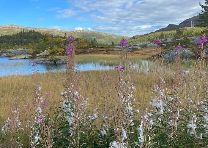 Rustik I Gausta, In, Out, 10 Beds Gaustablikk