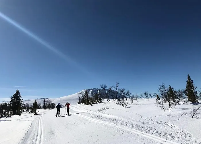 Rustik I Gausta, In, Out, 10 Beds Alpstuga
