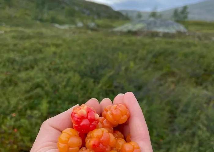 Rustik I Gausta, In, Out, 10 Beds Alpstuga